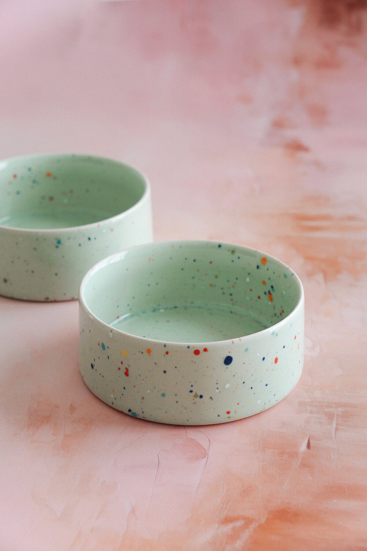 mint green ceramic dog bowl - studio wallflower
