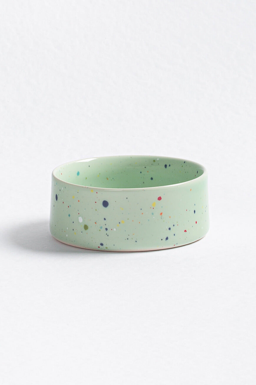 mint green ceramic dog bowl - studio wallflower