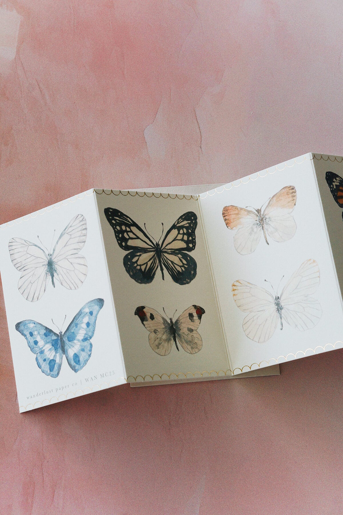 butterfly card - shop cute greeting cards on wallflower