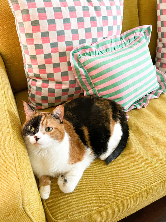 pink and green pillow with cat