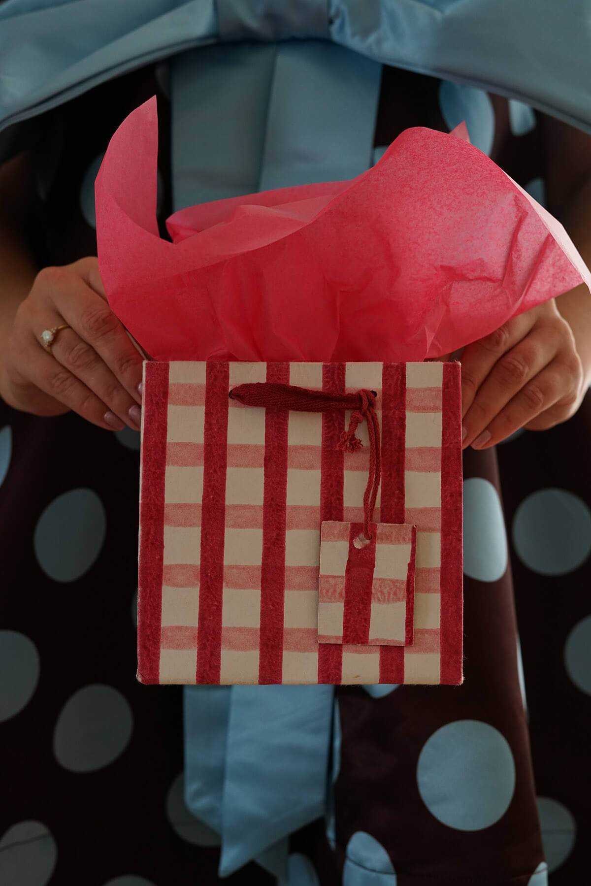 Small pink and red gingham holiday gift bag from wallflower - shop unique christmas gift wrapping