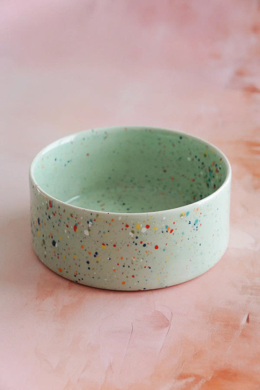 mint green ceramic dog bowl - studio wallflower