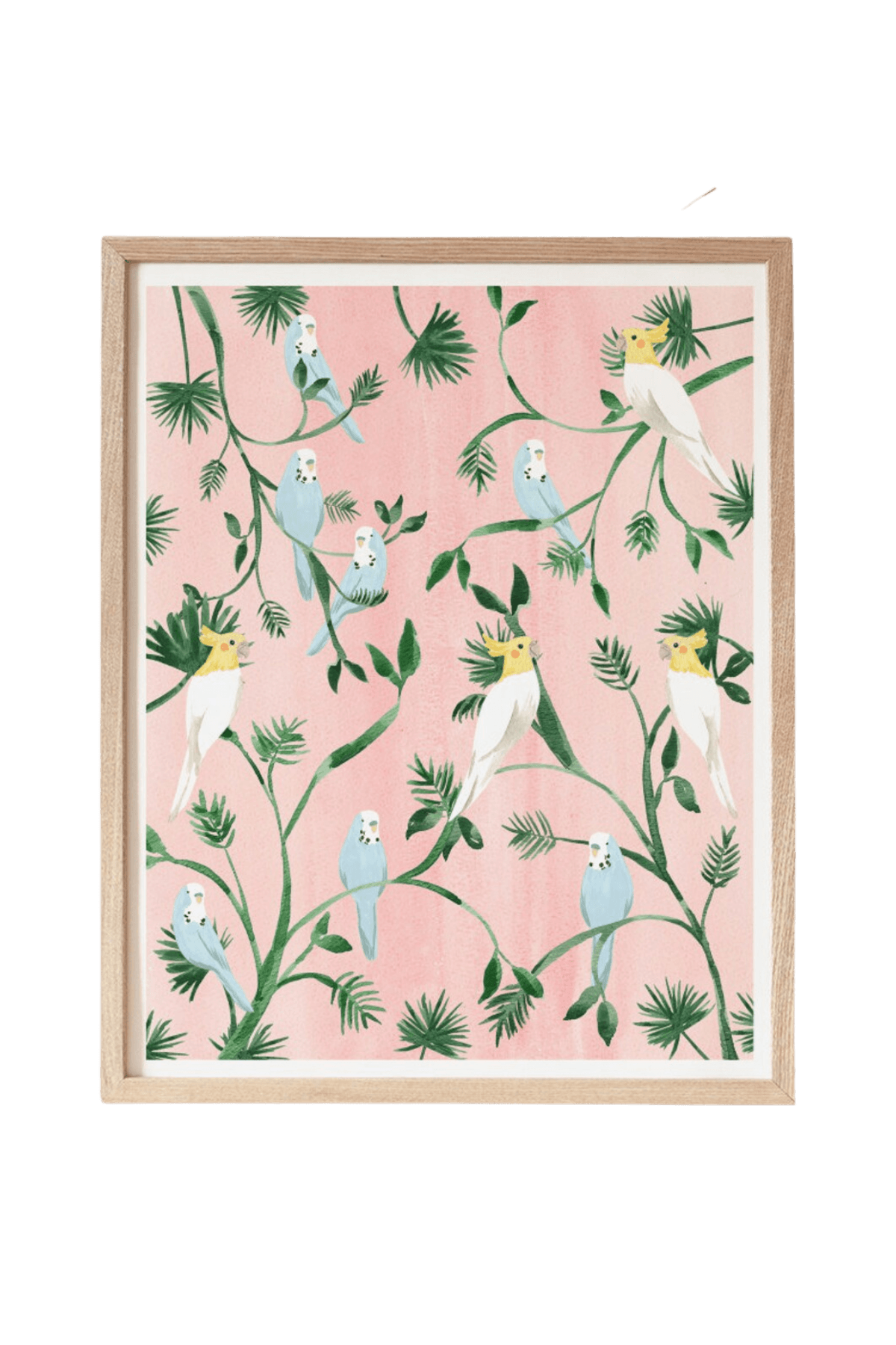 sabina fenn birds watercolor illustration