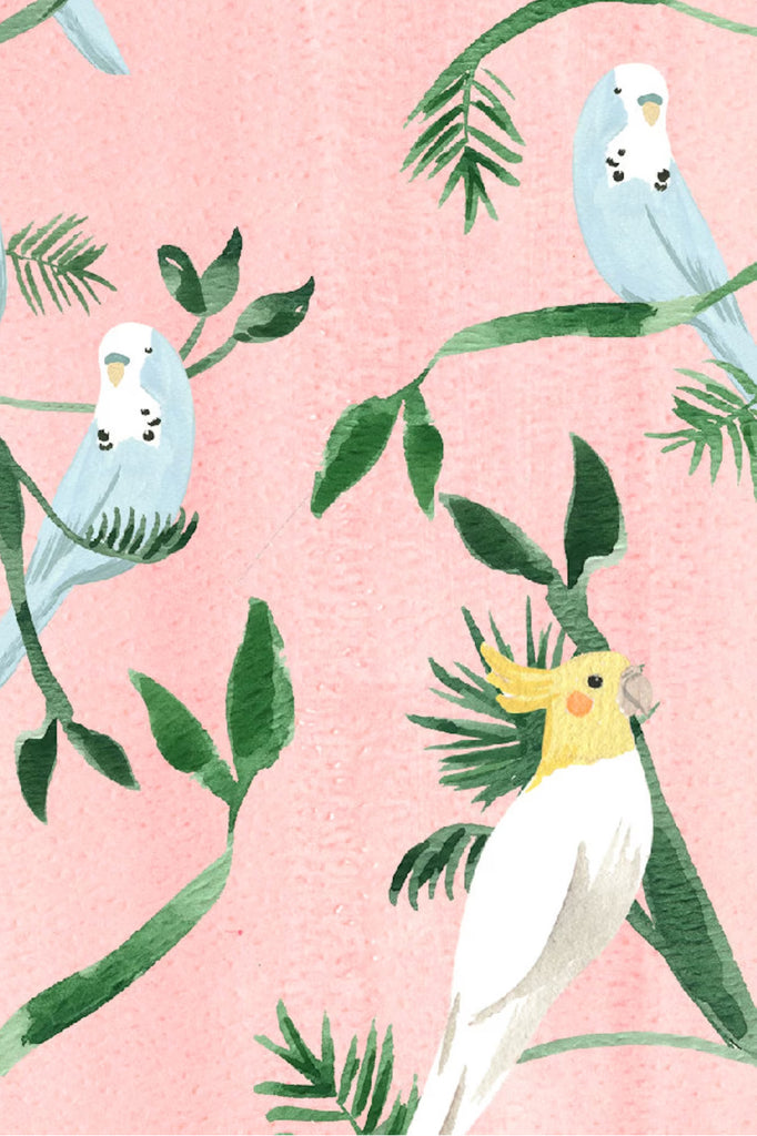 birds watercolor illustration by sabina fenn