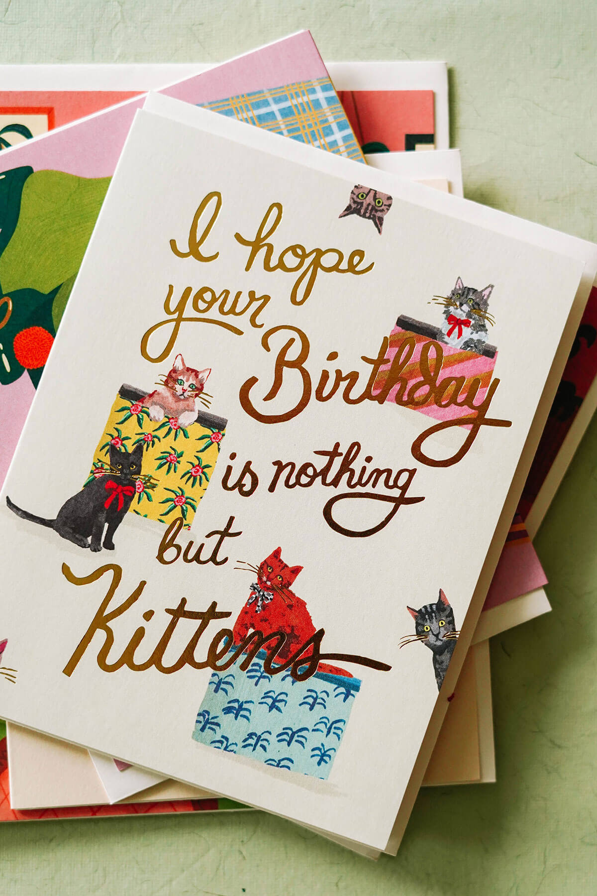 Cat Birthday Card "Nothing But Kittens" - Cute Cat Greeting Card from Wallflower