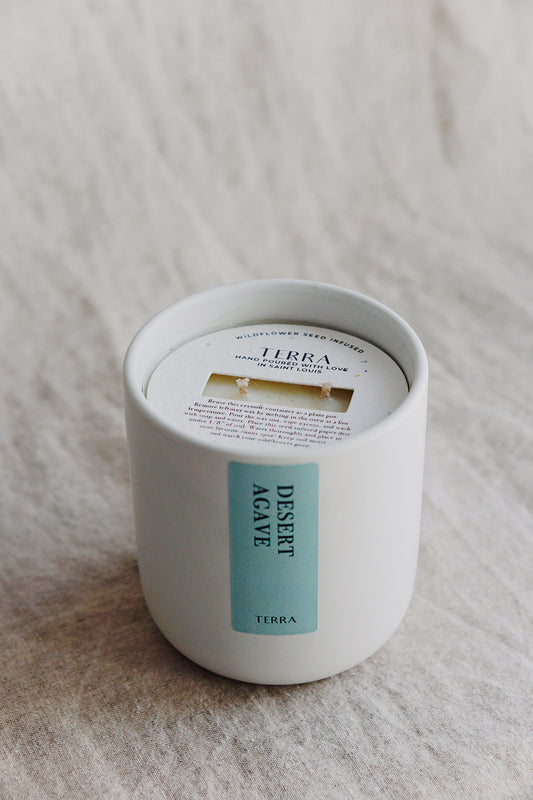 desert agave candle ✿ double wick soy candle ✿ shop wallflower