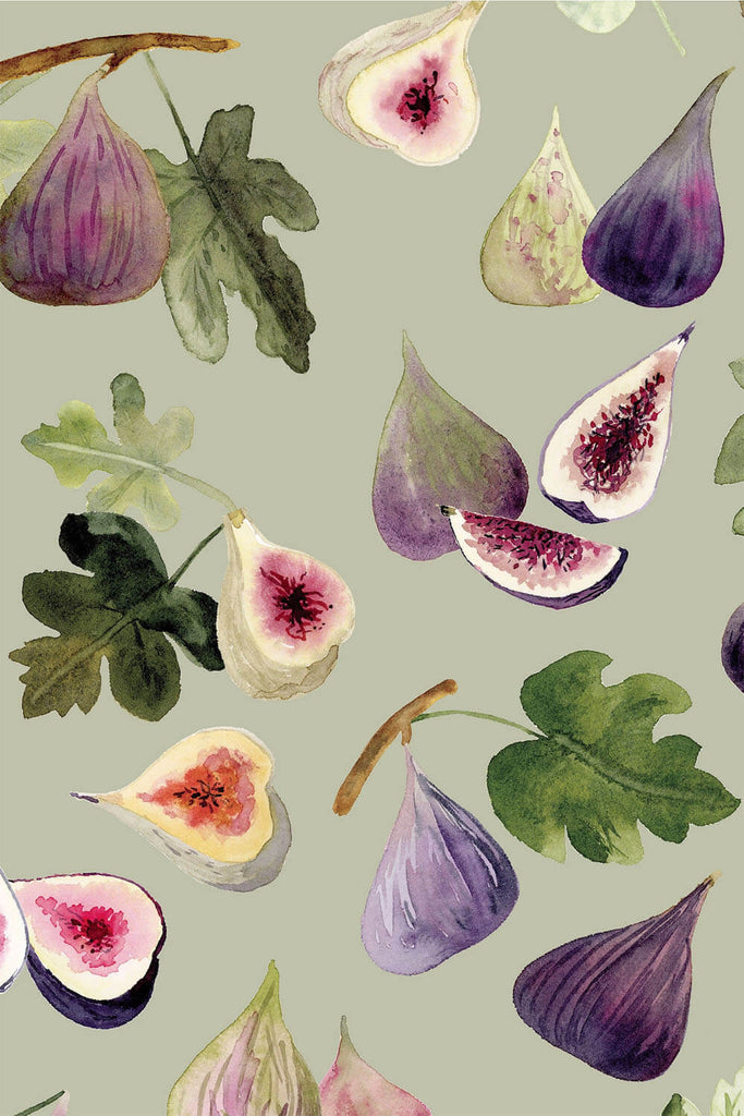figs wrapping paper