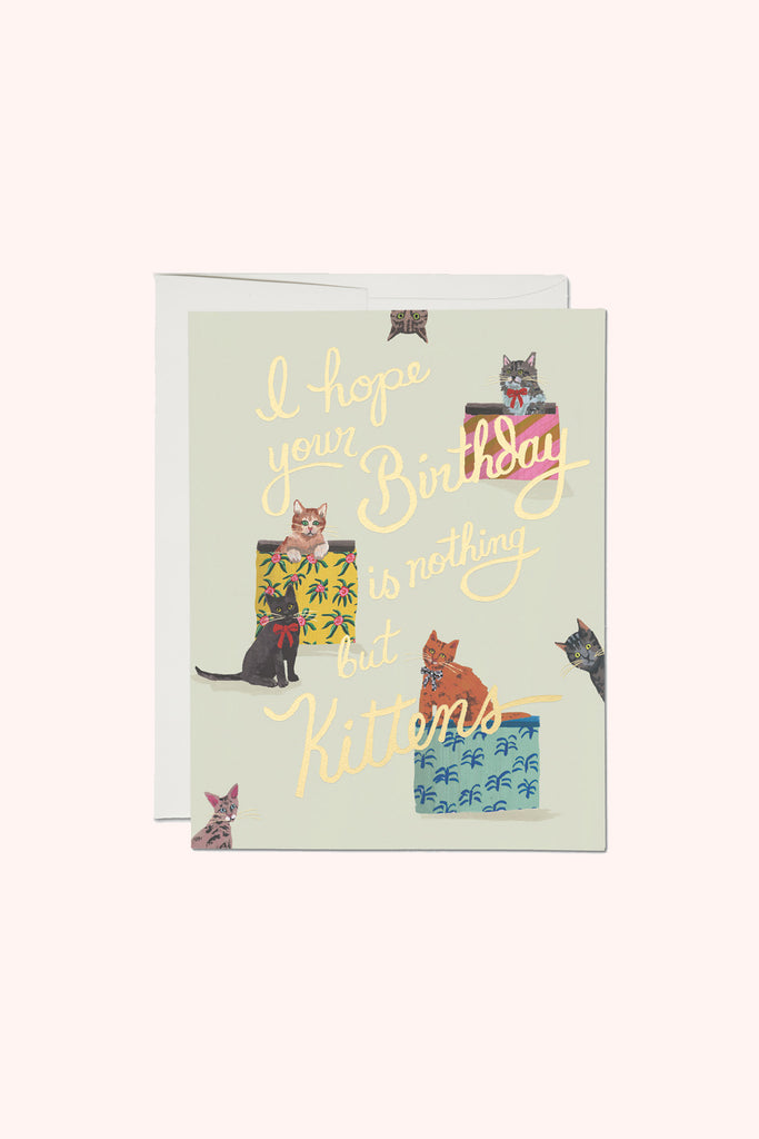 Cat Birthday Card "Nothing But Kittens" - Cute Cat Greeting Card from Wallflower